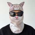 Biscuit Cat Balaclava, front