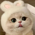 Mini-Me Bunny Hood (cats), front