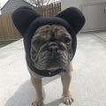 Mini-Me Pet Snood, front