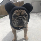 Mini-Me Pet Snood, front