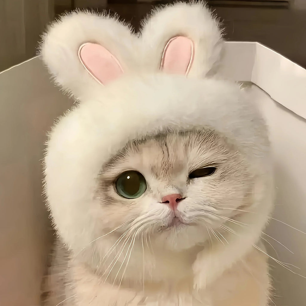 Mini-Me Bunny Hood (cats), photo 2