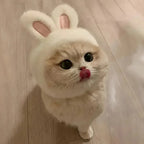 Mini-Me Bunny Hood (cats), photo 3