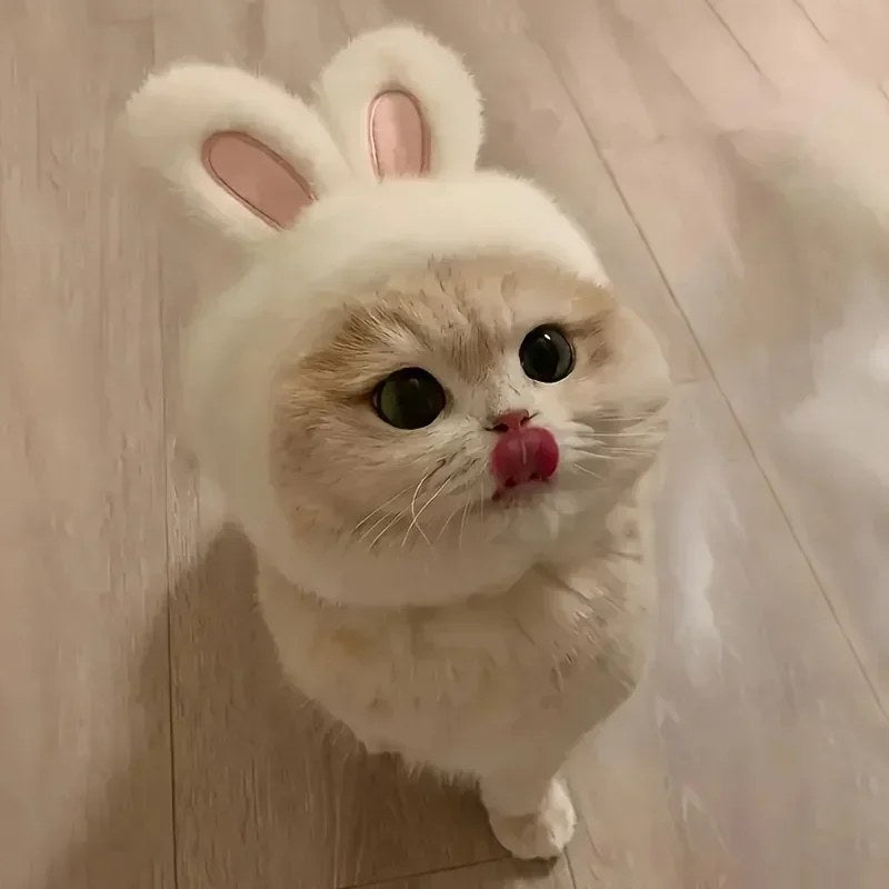 Mini-Me Bunny Hood (cats), photo 3